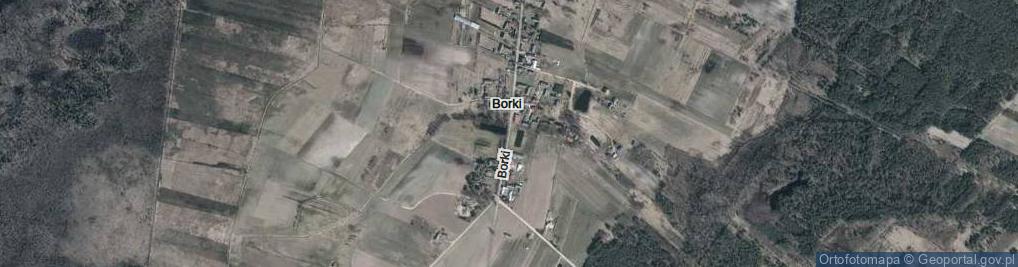 Zdjęcie satelitarne Borki ul.