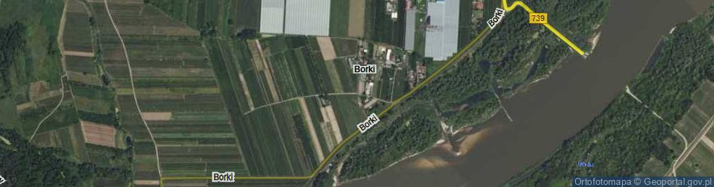 Zdjęcie satelitarne Borki ul.