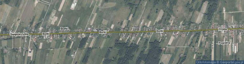 Zdjęcie satelitarne Borki ul.