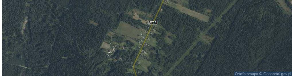 Zdjęcie satelitarne Borki ul.
