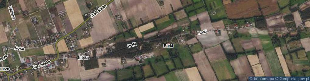 Zdjęcie satelitarne Borki ul.