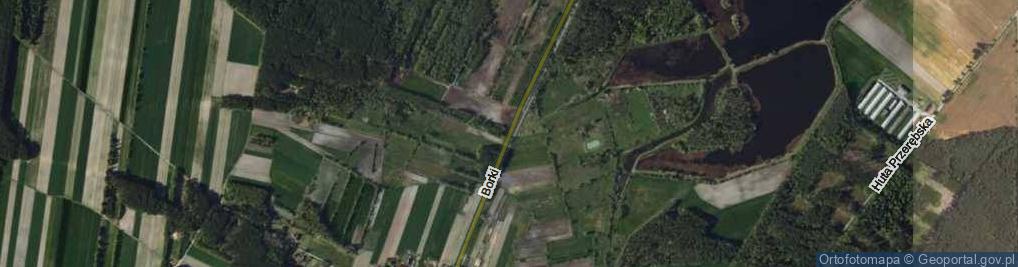 Zdjęcie satelitarne Borki ul.