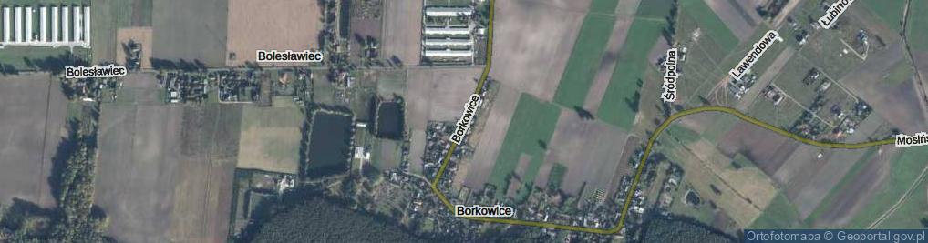 Zdjęcie satelitarne Borkowice ul.