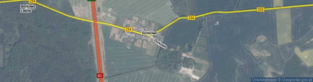 Zdjęcie satelitarne Borkowo ul.