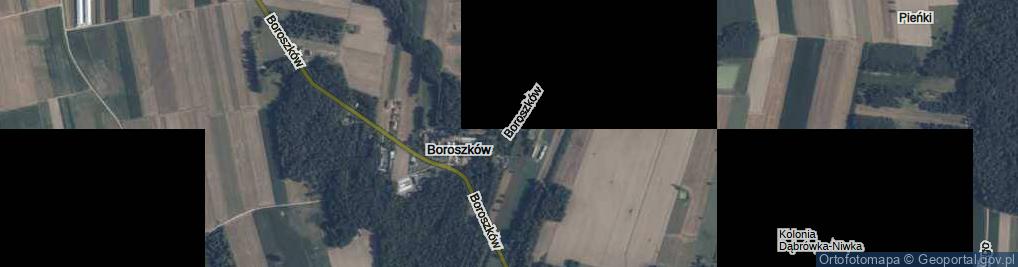 Zdjęcie satelitarne Boroszków ul.