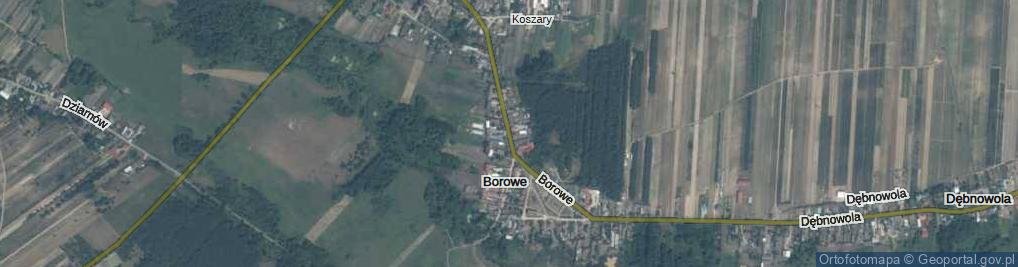 Zdjęcie satelitarne Borowe ul.