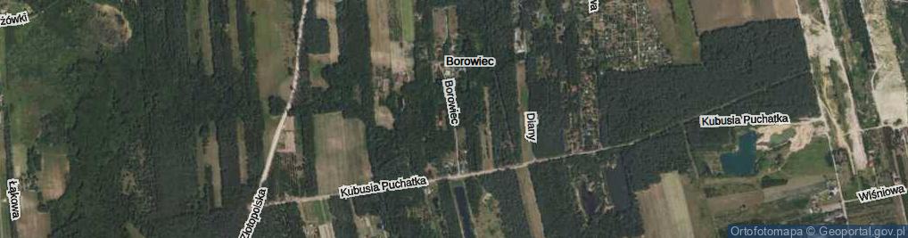 Zdjęcie satelitarne Borowiec ul.