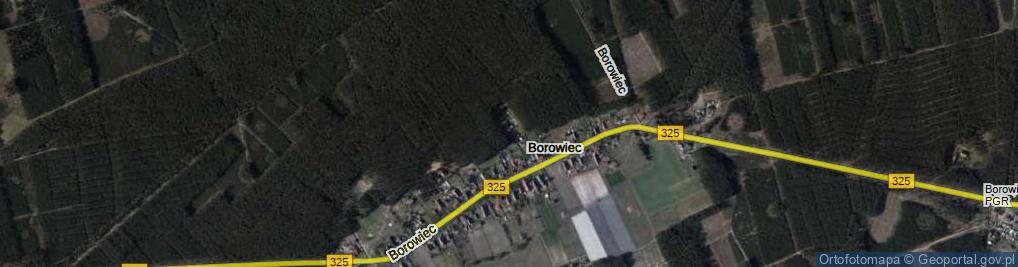 Zdjęcie satelitarne Borowiec ul.