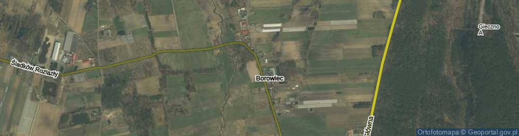 Zdjęcie satelitarne Borowiec ul.