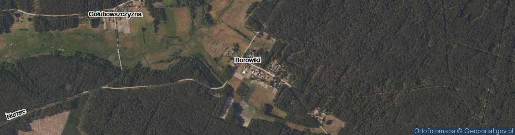 Zdjęcie satelitarne Borowiki ul.