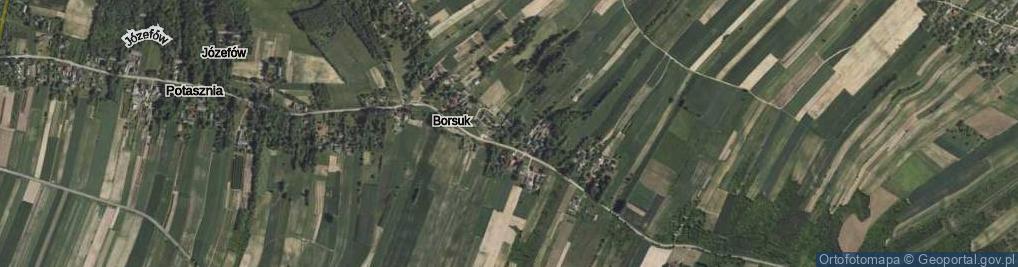 Zdjęcie satelitarne Borsuk ul.