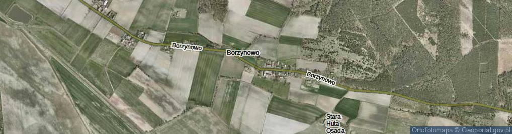 Zdjęcie satelitarne Borzynowo ul.