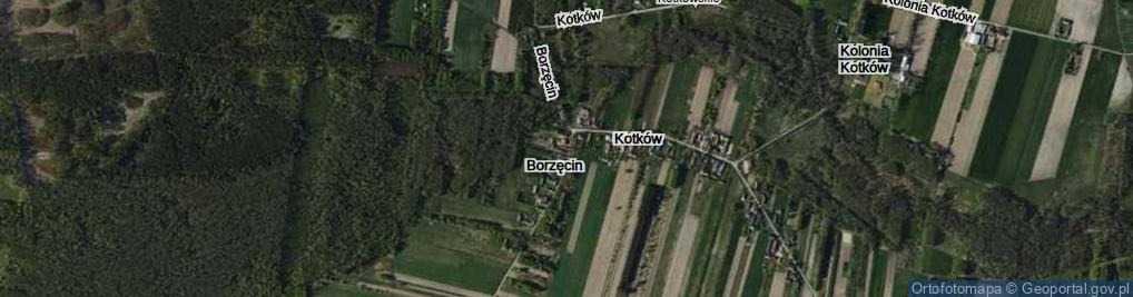 Zdjęcie satelitarne Borzęcin ul.