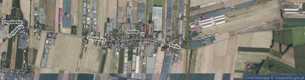 Zdjęcie satelitarne Borów ul.