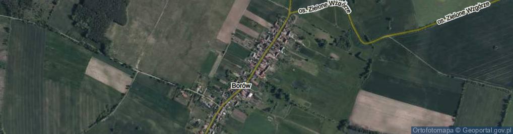 Zdjęcie satelitarne Borów ul.