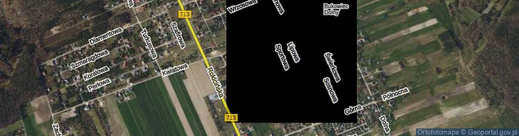 Zdjęcie satelitarne Borówkowa ul.