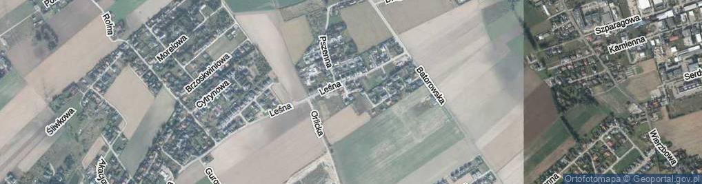 Zdjęcie satelitarne Borówkowa ul.