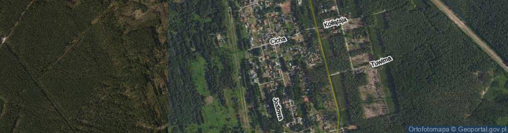 Zdjęcie satelitarne Borowikowa ul.