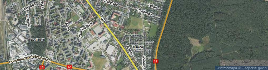 Zdjęcie satelitarne Bolesława Śmiałego ul.