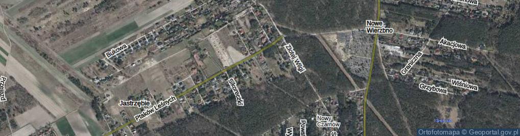 Zdjęcie satelitarne Bociana Czarnego ul.