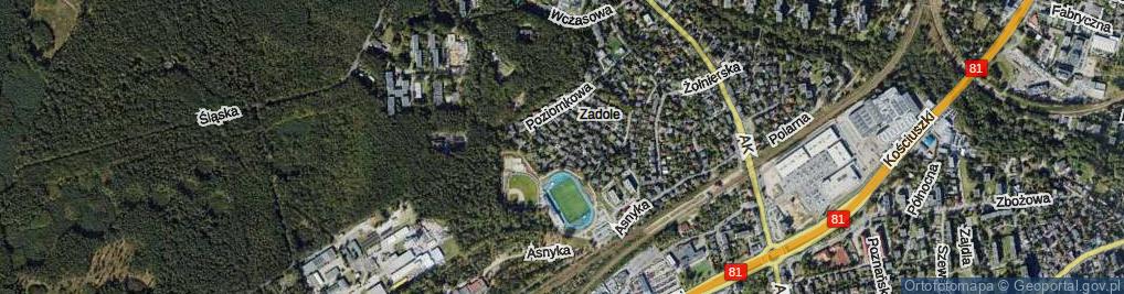 Zdjęcie satelitarne Borówkowa ul.