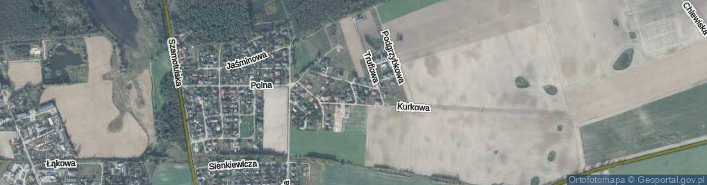 Zdjęcie satelitarne Borowikowa ul.