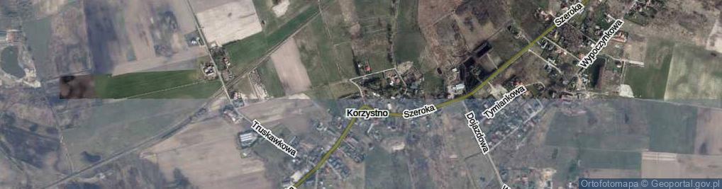 Zdjęcie satelitarne Borówkowa ul.