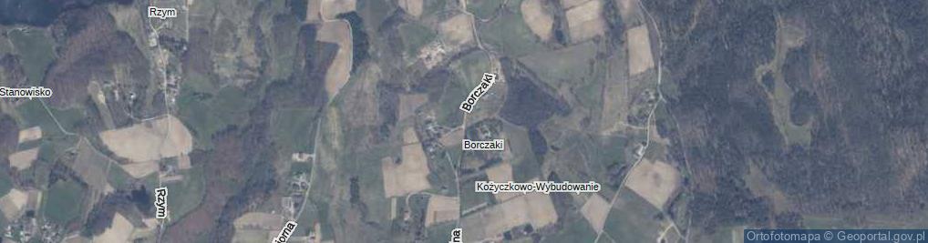 Zdjęcie satelitarne Borczaki ul.