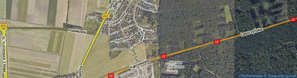 Zdjęcie satelitarne Borowikowa ul.