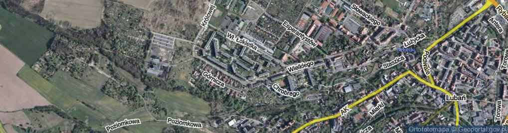 Zdjęcie satelitarne Bolesława Śmiałego ul.