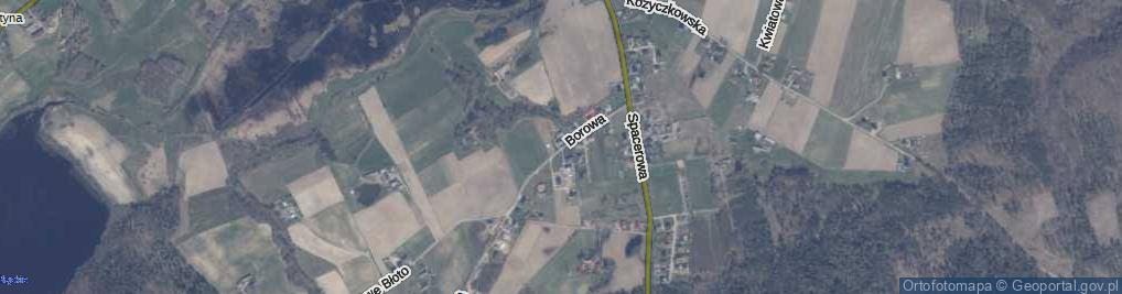 Zdjęcie satelitarne Borowa ul.