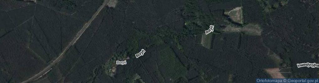 Zdjęcie satelitarne Boryń ul.