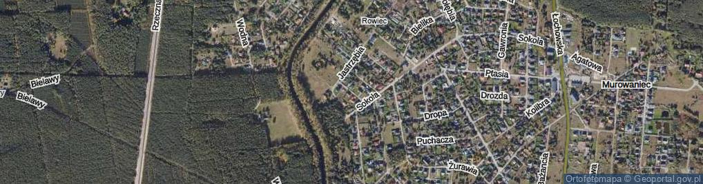 Zdjęcie satelitarne Bociania ul.