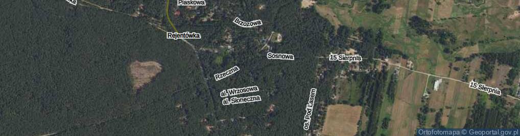 Zdjęcie satelitarne Borówkowa ul.