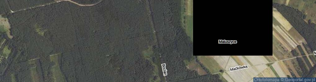 Zdjęcie satelitarne Bocian ul.