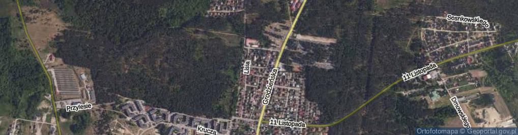 Zdjęcie satelitarne Borsucza ul.
