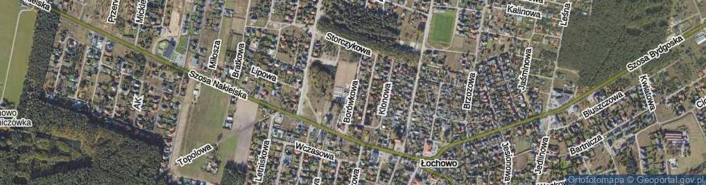 Zdjęcie satelitarne Borówkowa ul.