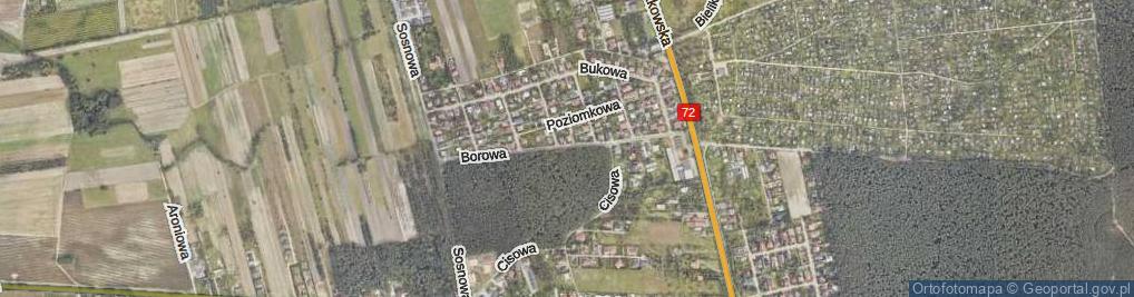 Zdjęcie satelitarne Borowa ul.