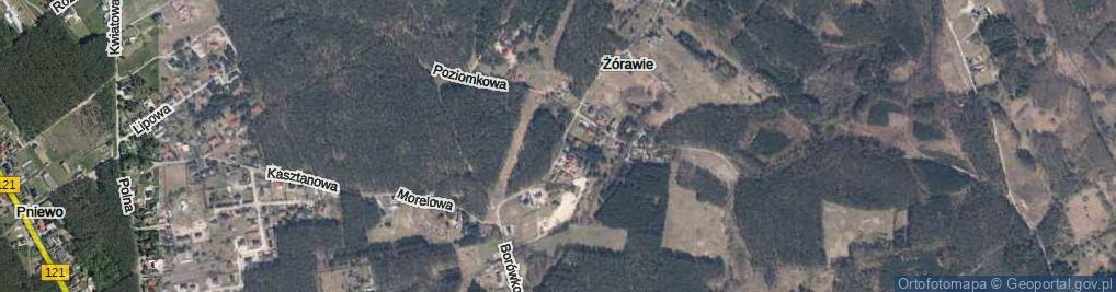 Zdjęcie satelitarne Borówkowa ul.