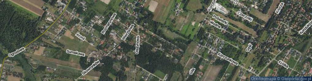 Zdjęcie satelitarne Brzozowa ul.