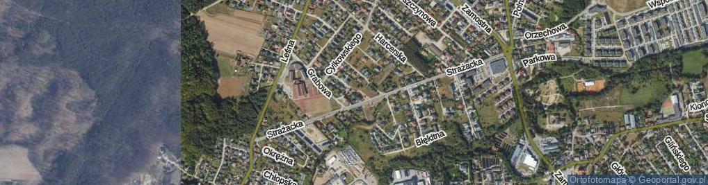 Zdjęcie satelitarne Brzozowa ul.
