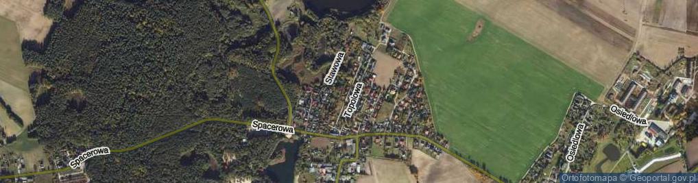 Zdjęcie satelitarne Brzozowa ul.