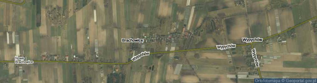 Zdjęcie satelitarne Brachowice ul.