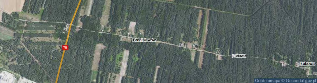 Zdjęcie satelitarne Bronisławów ul.