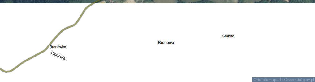 Zdjęcie satelitarne Bronowo ul.