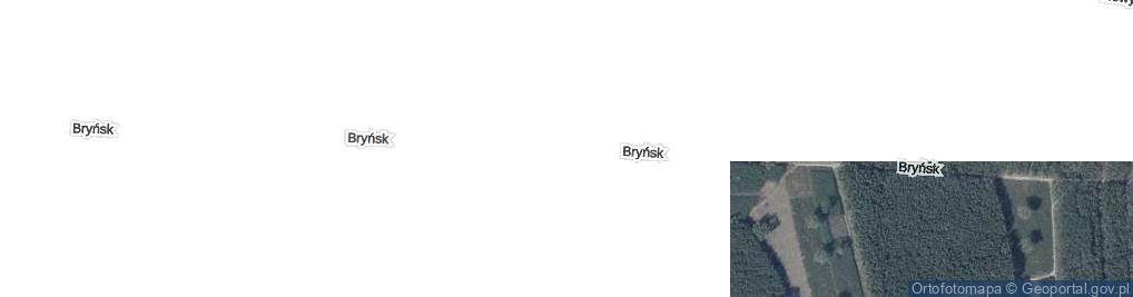 Zdjęcie satelitarne Bryńsk ul.