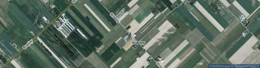 Zdjęcie satelitarne Brzeziny ul.