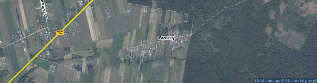 Zdjęcie satelitarne Brzeziny ul.