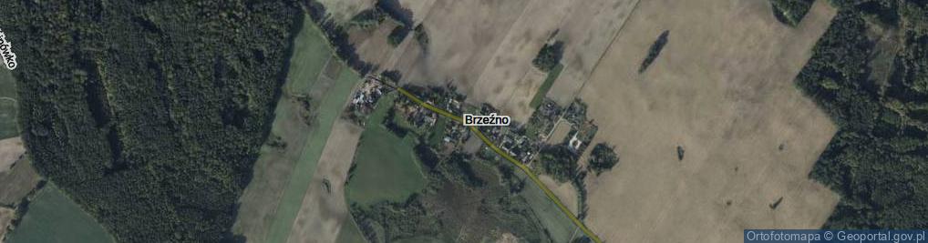 Zdjęcie satelitarne Brzeźno ul.