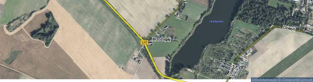 Zdjęcie satelitarne Brzozogaj ul.
